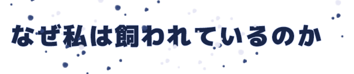 なぜ私は飼われているのか